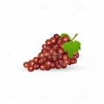 Bundle of Fresh Grapes